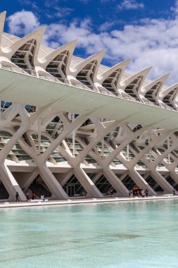 Valencia, İspanya 'daki Sanat ve Bilim Binaları' nın panoramik manzarası