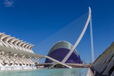 Valencia, İspanya 'daki Sanat ve Bilim Binaları' nın panoramik manzarası