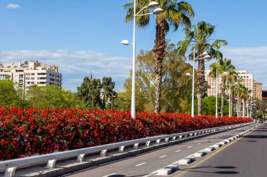 İspanya 'nın Valencia şehrinin farklı binaları ve caddelerinin manzarası