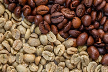 kavrulmuş ve kavrulmamış kahve çekirdekleri beyaz arka planda