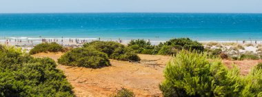 La Barrosa plajı, sular çekildiğinde, Sancti Petri, Chiclana de la Frontera, Cadiz, İspanya