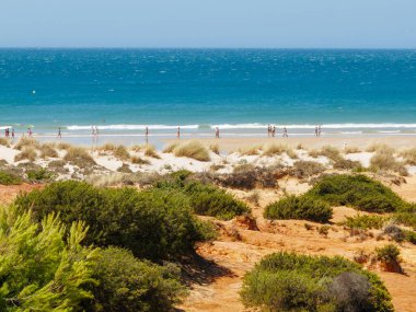 Sancti Petri, Cadiz, İspanya 'daki La Barrosa plajına erişim sağlayan kum tepeleri.