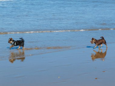 Barrosa sahilinde dalgalar, gelgitte, sancti petri, cadiz, İspanya 'da