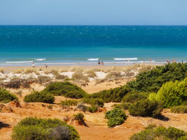 Sancti Petri, Cadiz, İspanya 'daki La Barrosa plajına erişim sağlayan kum tepeleri.