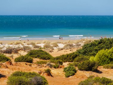 sand dunes that give access to La Barrosa beach in Sancti Petri, Cadiz, Spain clipart