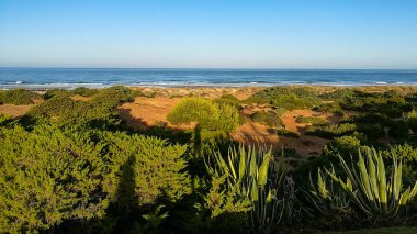 Sancti Petri, Cadiz, İspanya 'daki La Barrosa plajına erişim sağlayan kum tepeleri.