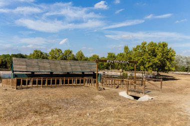 Somosagua Ormanı 'ndan Madrid ufuk çizgisi manzarası