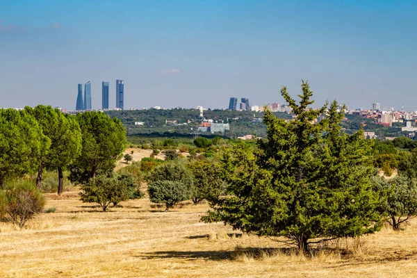 Madrid Városképe Somosaguas Erdőparkból — Stock Fotó