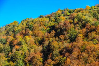 Leitariegos, Asturias, İspanya dağlarında sonbahar manzarası