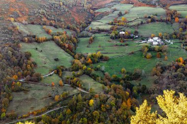 Leitariegos, Asturias, İspanya dağlarında sonbahar manzarası