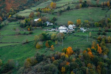Leitariegos, Asturias, İspanya dağlarında sonbahar manzarası