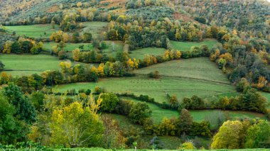 Leitariegos, Asturias, İspanya dağlarında sonbahar manzarası