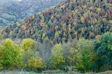 Leitariegos, Asturias, İspanya dağlarında sonbahar manzarası