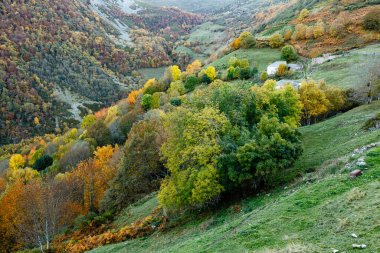 Leitariegos, Asturias, İspanya dağlarında sonbahar manzarası