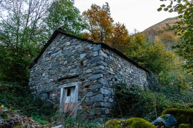 Leitariegos, Asturias, İspanya dağlarında sonbahar manzarası