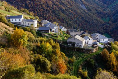 Leitariegos, Asturias, İspanya dağlarında sonbahar manzarası