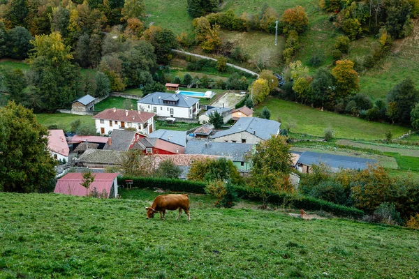 Jesienne Krajobrazy Górach Leitariegos Asturia Hiszpania — Zdjęcie stockowe