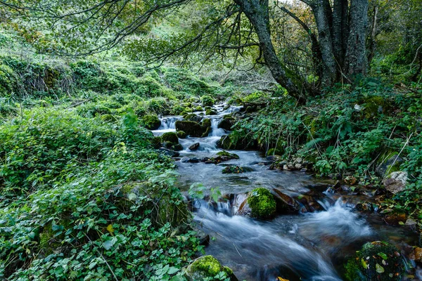 Leitariegos, Asturias, İspanya dağlarında sonbahar manzarası