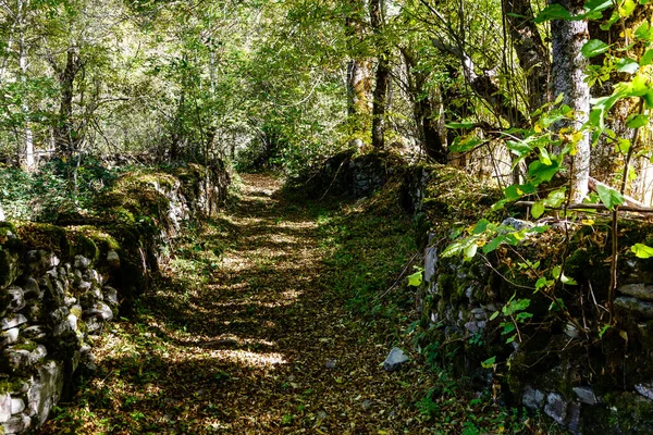 Paisajes Otoñales Las Montañas Leitariegos Asturias España — Foto de Stock