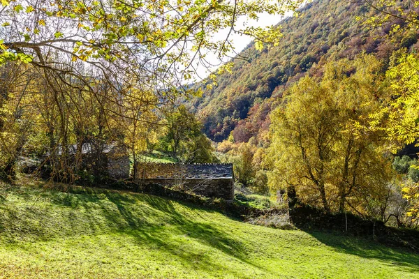 Őszi Táj Leitariegos Hegyekben Asturias Spanyolország — Stock Fotó