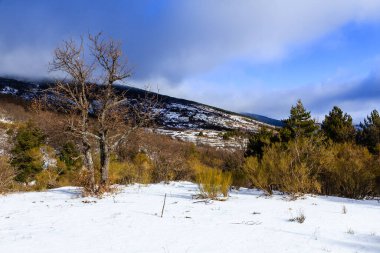 Madrid 'deki Sierra de Guadarrama dağlarında hafif karlı bir yol.