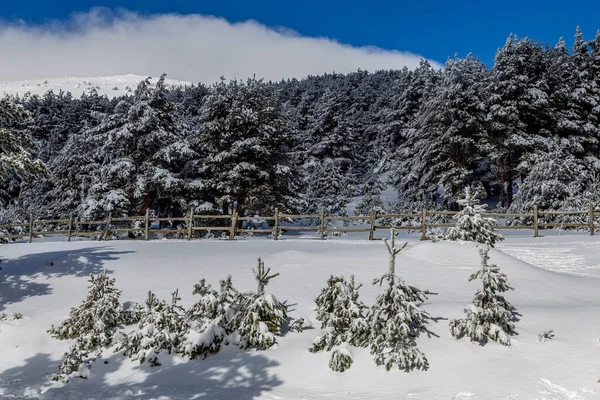 Снежные Горы Порту Cotos Гуадараме Мадрид — стоковое фото