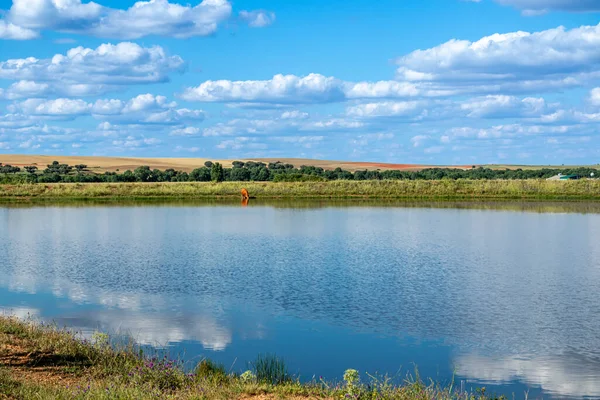 stock image Pond of water so that it drinks the cattle in the dehesas of Salamanca, Spain