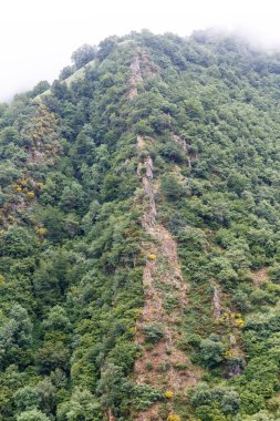 Leitariegos Vadisi, Asturias, İspanya, bahar başında