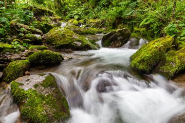 İspanya, Asturias 'taki Leitariegos Vadisi' ndeki Naviego Nehri 'nden sel..