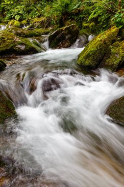 İspanya, Asturias 'taki Leitariegos Vadisi' ndeki Naviego Nehri 'nden sel..