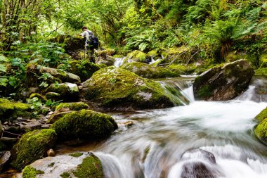 İspanya, Asturias 'taki Leitariegos Vadisi' ndeki Naviego Nehri 'nden sel..