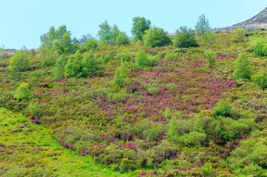 Leitariegos Vadisi, Asturias, İspanya, bahar başında