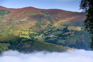 Lietariegos vadisi, es Asturias, İspanya, sabah sisi ile kaplı