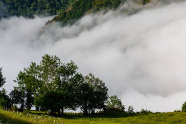 Lietariegos vadisi, es Asturias, İspanya, sabah sisi ile kaplı