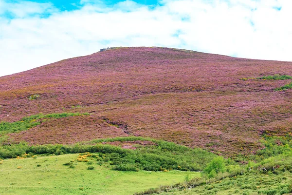 Leitariegos Vadisi, Asturias, İspanya, bahar başında