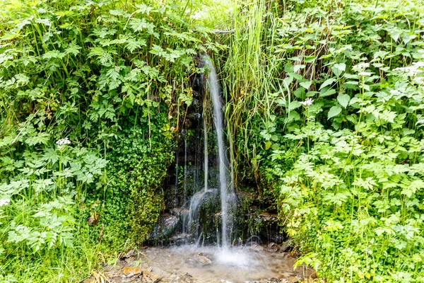 Torrent Water Naviego River Leitariegos Valley Asturias Hiszpania — Zdjęcie stockowe