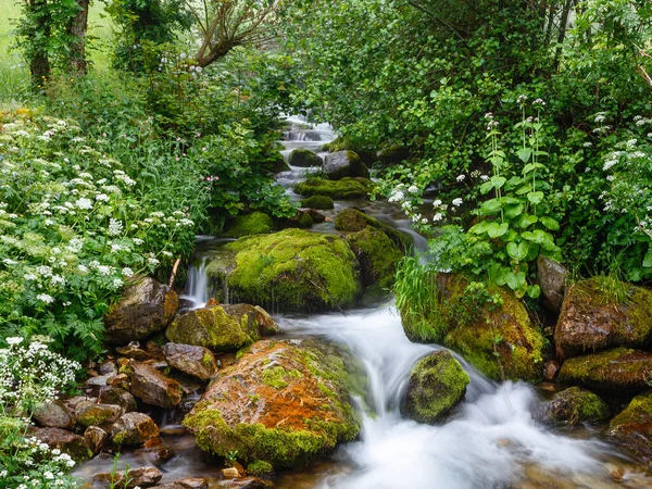 Proud Vody Řeky Naviego Údolí Leitariegos Asturie Španělsko — Stock fotografie
