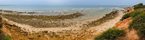 Spiaggia Barrosa Con Bassa Marea Sancti Petri Chiclana Frontera Cadice — Foto Stock