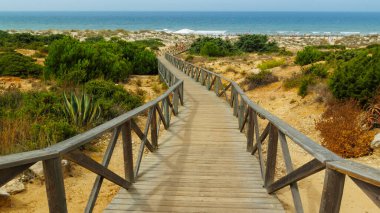 La Barrosa plajı, sular çekildiğinde, Sancti Petri, Chiclana de la Frontera, Cadiz, İspanya