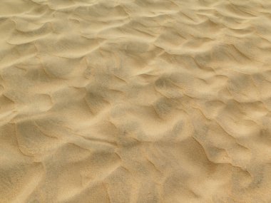 La Barrosa 'daki kumsal, Sancti Petri, Cadiz, İspanya
