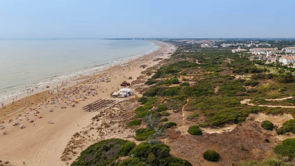 aerial view, from a paraglider, of the Barrosa beach in Sacti Petri, Cadiz, Spain