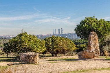 Somosagua Ormanı 'ndan Madrid ufuk çizgisi manzarası