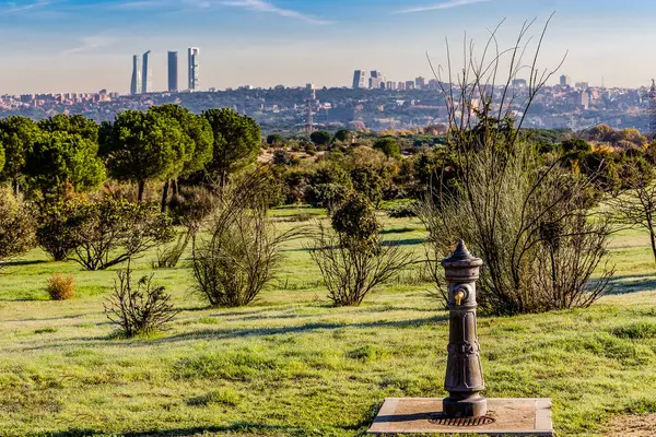 Spanya Nın Madrid Şehrinde Forestal Somosaguas Adlı Parkın Manzarası — Stok fotoğraf