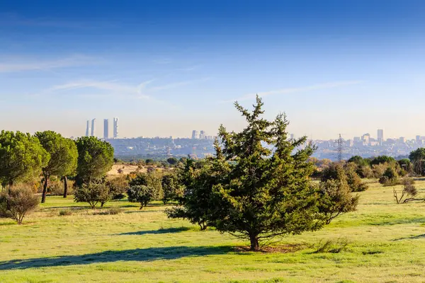 Stock image landscape of public park named Forestal de Somosaguas in Madrid city, Spain