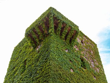 Caceres, İspanya - 01 Mayıs 2014: İspanya 'nın Caceres kentinin tarihi binalarının detayları