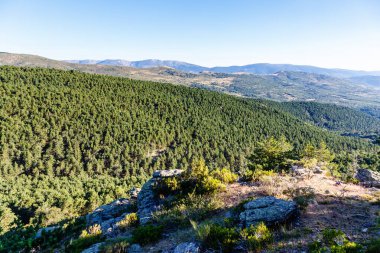 Canencia Çayırı 'ndaki manzara