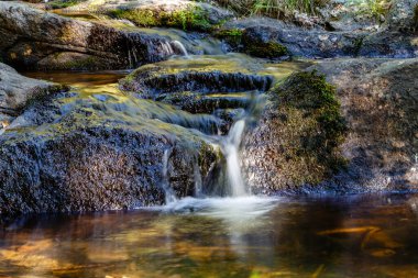 Canencia Çayırı 'ndaki manzara