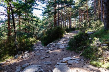 Canencia Çayırı 'ndaki manzara