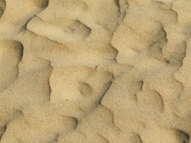 Canela Adası, Huelva, İspanya 'daki kumsal.