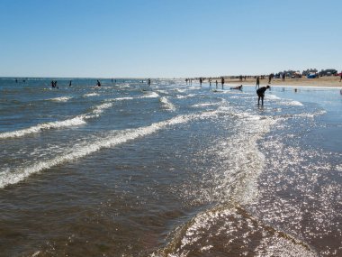 Canela Huelva Plajı, İspanya